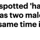 Image for article titled The Best Selectively Capitalized Daily Mail Headlines of 2019